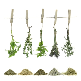Baby-Friendly Herbs, Spices and Natural Flavors